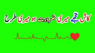 #urdopoetry #greenscreenurdupoetry #greenscreenurdo #greenscreenvideo