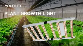 Plant growth light | full spectrum design | 220w 350w 460w 2.5-2.7umol/J