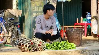 Harvest vegetables, snails, chickens, go to the market, daily life
