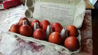 Инкубационное яйцо Марана. Продаю.