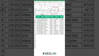 Excelde Vba Kullanmadan Form Doldurarak Tablo Girişi Yapmak | 