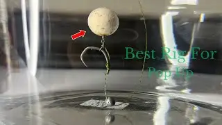 Best Slip-D Rig for Pop Up by Foris FIsherman