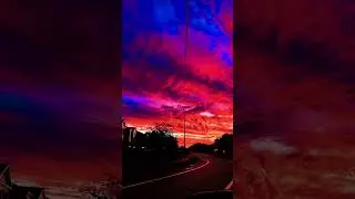 Amazing moment #trending #shorts