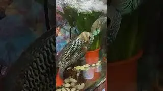 С УМА СОЙТИ 😱🤯😳🤣🤗👍👍👍