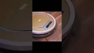 Robot vacuum cleaner rides around the city