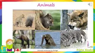 Introduction to Animals - Module 1.1 (Chapter 2 - Olympiad Class 4 Science)