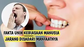 Fakta Unik Kebiasaan Manusia yang belum tau manfaatnya #faktameinarik