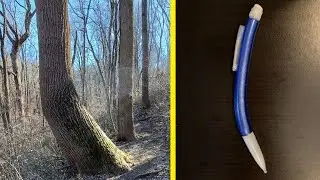Pictures That Prove The Universe Will Always Find A Way To Surprise Us