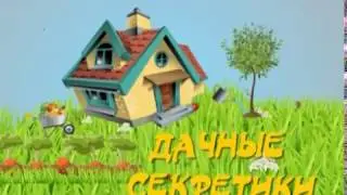 Как сохранить клубни пионов до высадки в грунт.