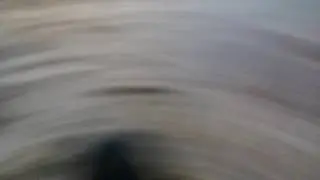 Мопсик сам катится с горки