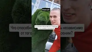 Больше интересного в моих блогах☀️ #психолог #психология #наставничество #коучинг