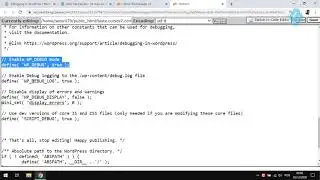 39008 - Curso Debug WordPress - Configurando Wp Config