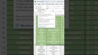 aprende a copiar y pegar formatos en varias celdas en Excel 
