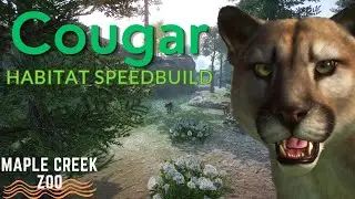 BIG KITTIES! Maple Creek Zoo 02 - planet zoo cougar habitat speedbuild
