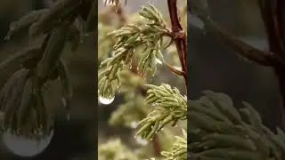Такого я ещё не видел! Путь на базу "Качковка"