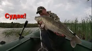 Pike Perch Hello / Fishing in Kazakhstan /
