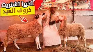 اليوم من سوق مدينة رحمة بالبيضاء🇲🇦وأخيرا اشترينا خروف العيد🐑وقيلا تقولبت فهاد الحولي صدمونا الأثمنة