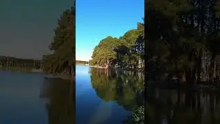 Parque São José dos Pinhais.  Paraná.  #penseai #turismo #braziliancity