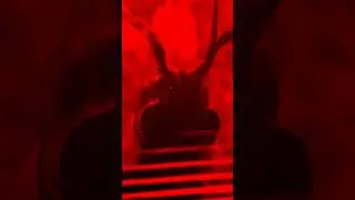𝖙𝖊𝖝𝖆𝖘 - 𝖜𝖎𝖙𝖓𝖊𝖘𝖘