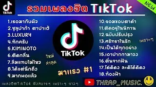 รวมเพลงฮิตในTikTokล่าสุด รวมเพลงฮิตในแอพติ๊กต๊อกล่าสุด มาแรงในตอนนี้