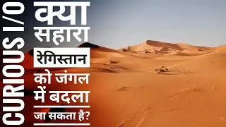 Can Sahara Desert converted into Jungle? | CURIOUS I/O | क्या सहारा रेगिस्तान जंगल में बदल सकता है?