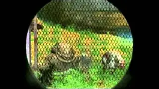 Сталкер Пёс е  т всё что шевелится,помогает таскать трупы, но не ловит крыс в баре