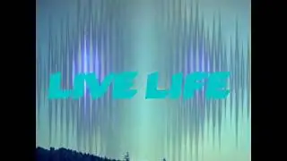LIVE LIFE -THE HEARTIST