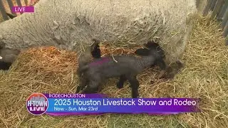 AGVenture Day at RODEOHOUSTON - H-TOWN LIVE