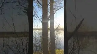 какая красота и умиротворение...