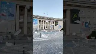 Оформление документов в Польше 🇵🇱