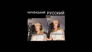 перевод 