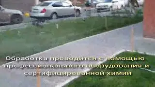 Обработка от клещей в Краснодаре 8-928-201-72-02