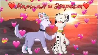 ❤️Маршал и Эверест - Любовь❤️