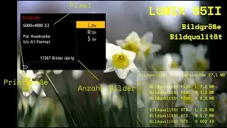 LUMIX S5II einstellen der Bildgröße & Bildqualität