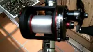 Pesca Debut Daiwa
