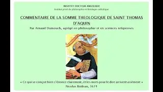 Commentaire de la Somme théologique Ia Q42: Egalité et similitude entre les Personnes de la Trinité/