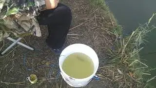 Рыбалка в Бриньковской