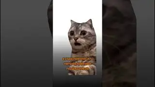 Когда не проверил подрядчиков!