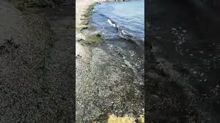 каспийское море берег. 