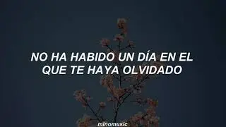 Spring Day - BTS [Traducida al Español]