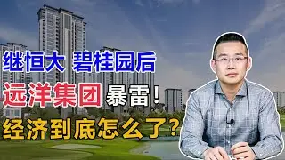碧桂园和远洋集团相继出事，经济到底怎么了？【汤山老王】