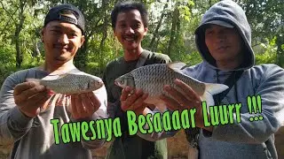 Sadiss, Mancing Mercoca di Ganggu Dewa Angin