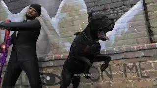D Book Was Here Tracer Pack MW3