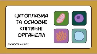Біологія 9 клас  Цитоплазма та основні клітинні органели
