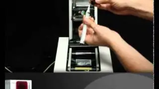 Evolis Zenius — ACL002 — полная очистка печатающей головки