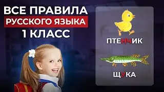Все правила русского языка 1 класса за 7 минут! Уроки русского языка для первого класса