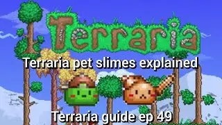 terraria pet slimes explained, terraria guide ep 49.