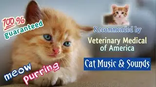 Relaxing Piano Music for Cat & Kittens With Cat Purring Sound, Birds Chirping, Meow Cat Sleep Music