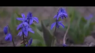 960фпс