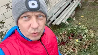 сижу без СВЕТА обрезаю розы // кормлю ФАНТОМОВ